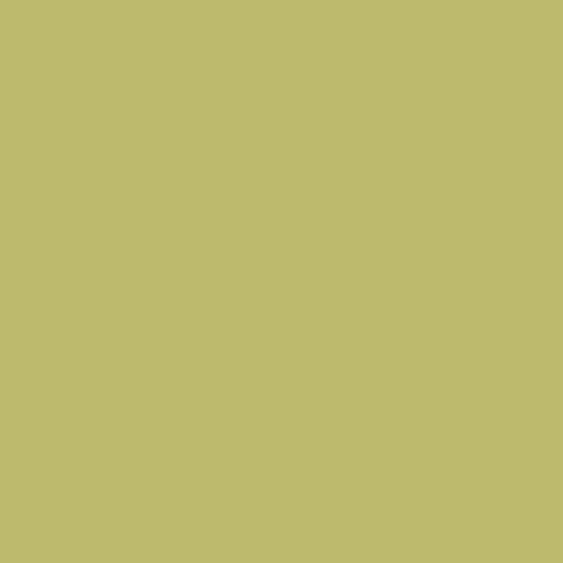 Americana Acrílico Mate 59 cc DA187 Reindeer Moss Green