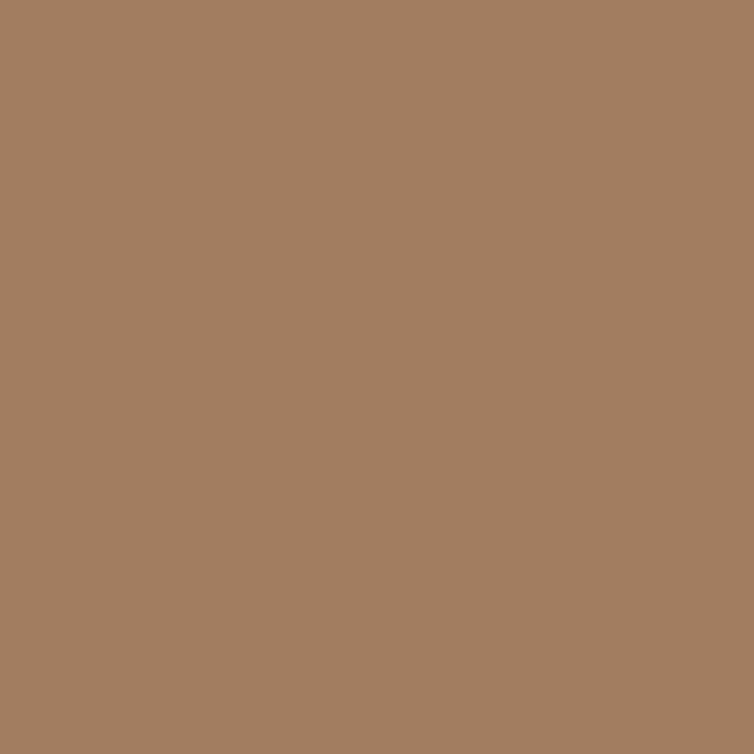 Americana Acrílico Mate 59 cc DA061 Sable Brown