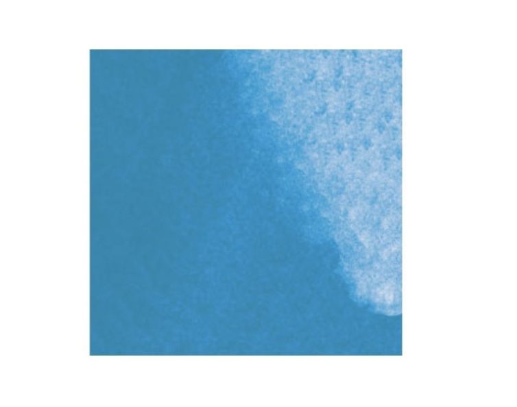Tinta Mer du sud , Aladine