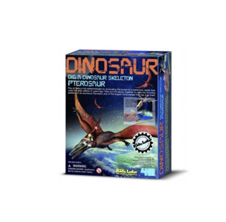 Dinosaur Pterosaur skeleton , +8 años, 4 M