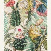 Papel decoupage, Arizona Dream, 70 x 100cm , wp19-01