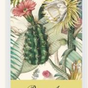 Papel decoupage, Arizona Dream, 70 x 100cm , wp19-01