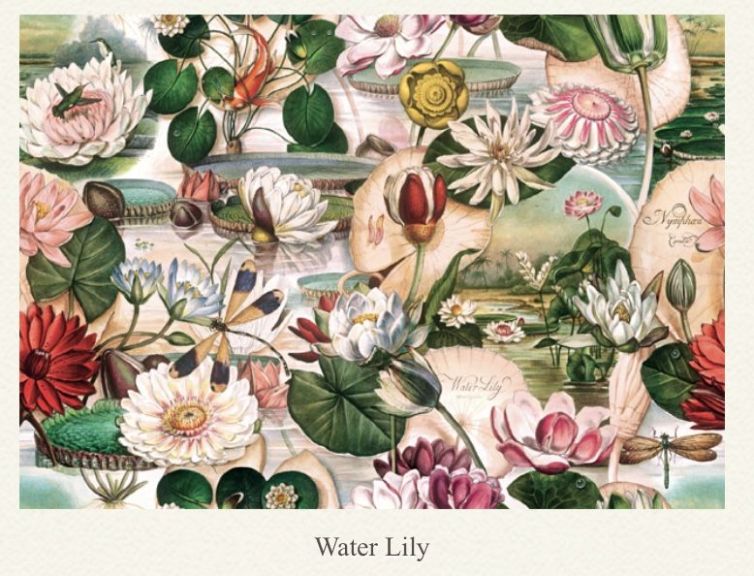 Papel decoupage, water Lily, 70 x 100cm, wp16-01