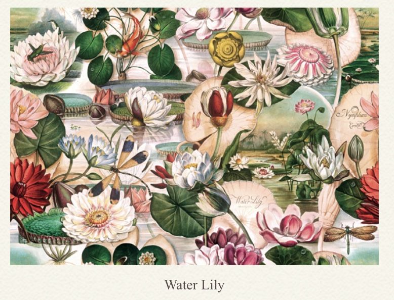 Papel decoupage, water Lily, 70 x 100cm, wp16-01