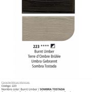 Óleo Burnt Umber/ Sombra Tostada, 223, 38 ml, Graduate Oil, Daler Rowney