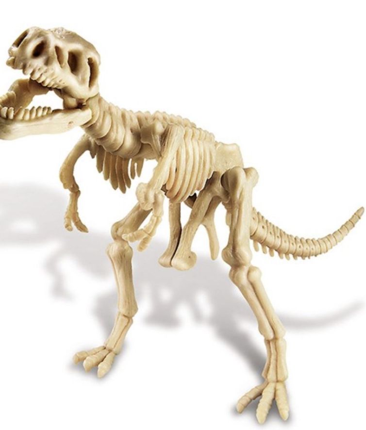 Dinosaur Tyrannosaurus Rex, +8 años , 4M