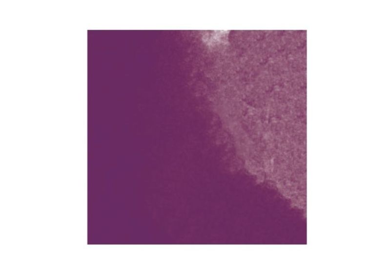 Tinta Cassis, Aladine