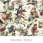 Papel decoupage, birds & fruits, 70 x 100 cm , WP13-05