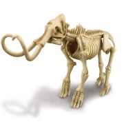 Mammoth, dig a mammoth skeleton, +8años, 4M