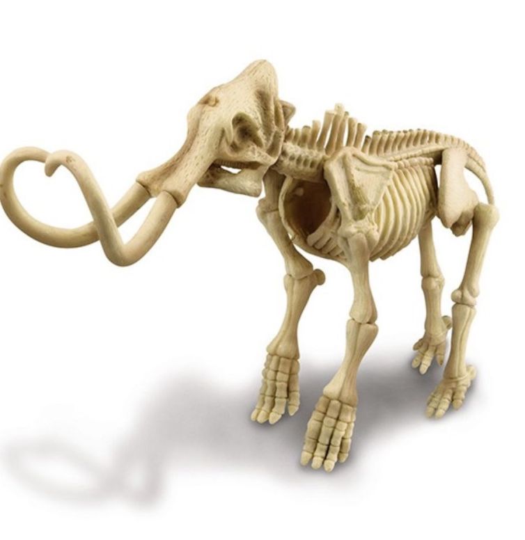Mammoth, dig a mammoth skeleton, +8años, 4M