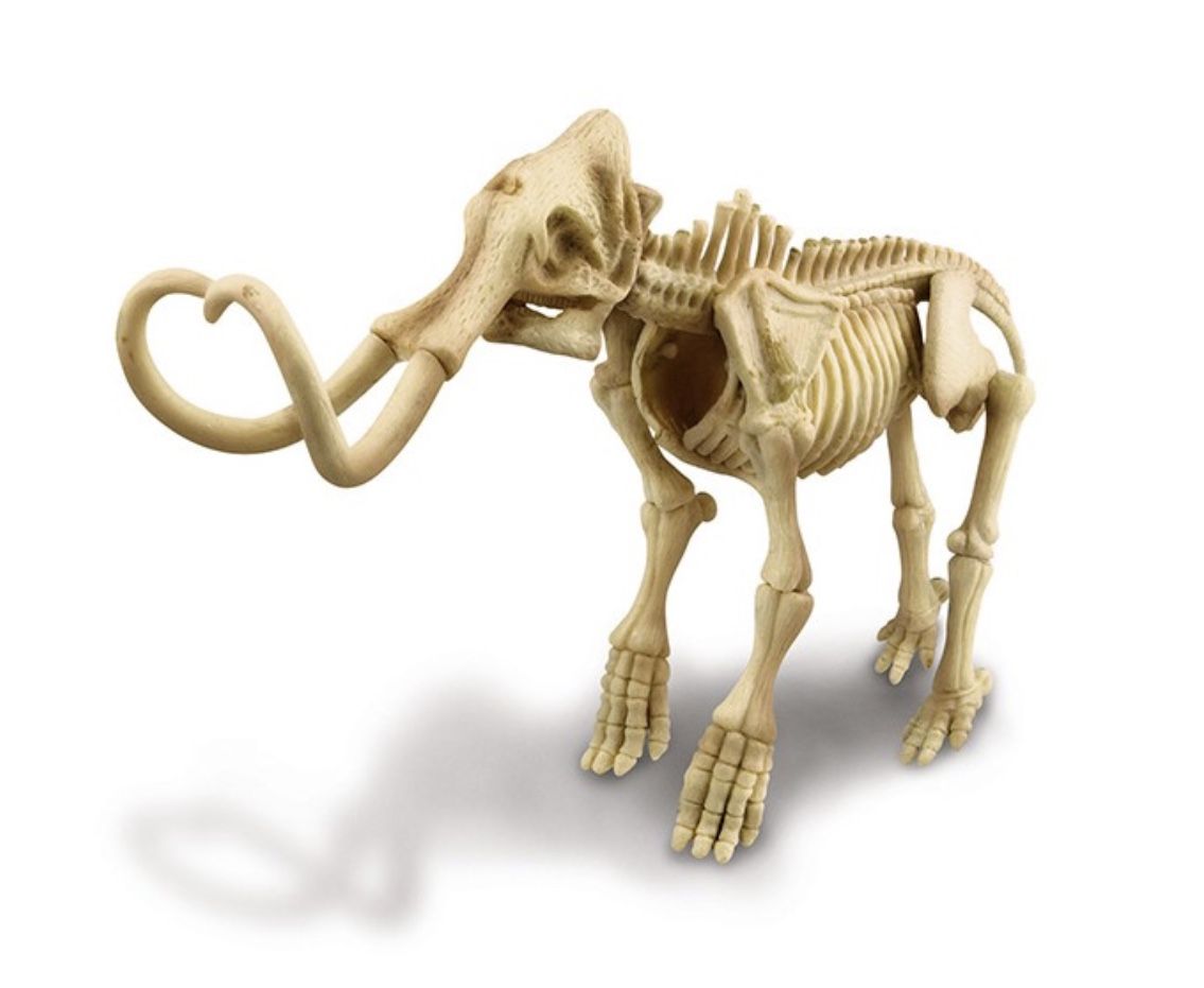 Mammoth, dig a mammoth skeleton, +8años, 4M