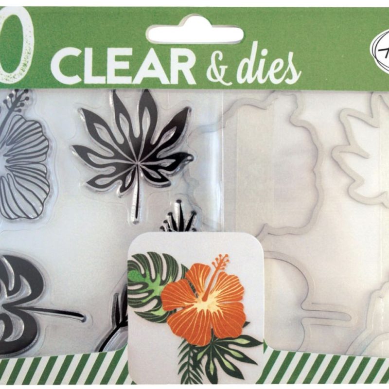 Duo clear & dies, Aladine, Tropical, 04306