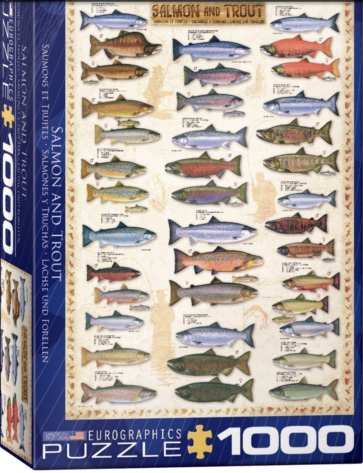 EUROGRAPHICS Puzzle 1000 Salmon & Trout