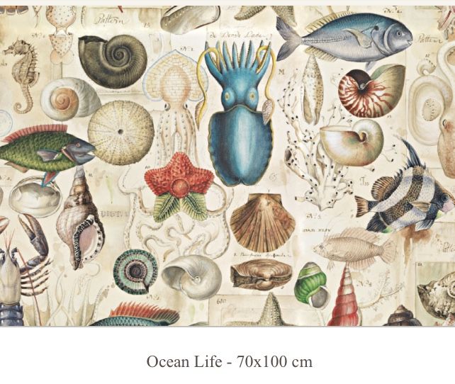 Papel decoupage,ocean life, 70 x 100, WP14-03