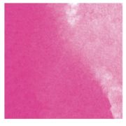 Tinta Rosa, Aladine