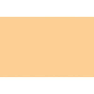 Liquitex Spray Acrílico (011) Tono Naranja Cadmio 6 – 6720 (opaco)