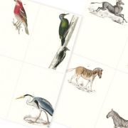 Label, Sticker & Tape Book Fauna Art.-Nr. 4279