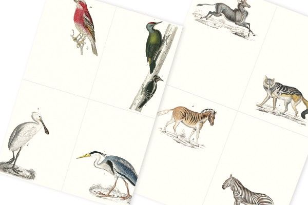 Label, Sticker & Tape Book Fauna Art.-Nr. 4279