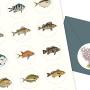 Label, Sticker & Tape Book Marine Art.-Nr. 4286