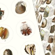 Label, Sticker & Tape Book Marine Art.-Nr. 4286