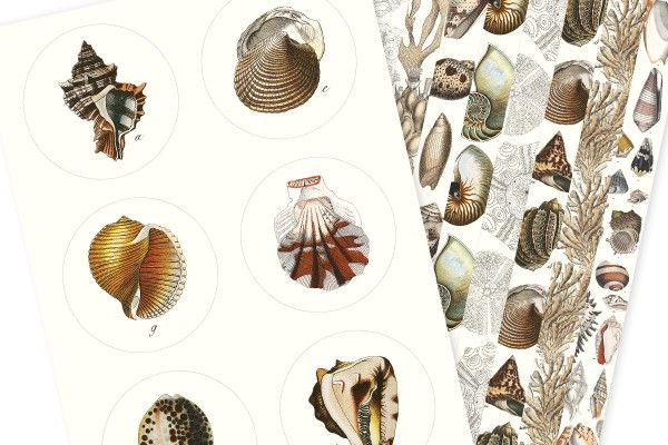 Label, Sticker & Tape Book Marine Art.-Nr. 4286