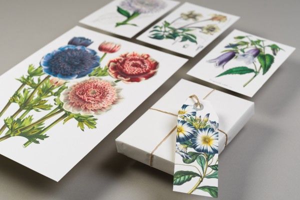 Paper Craft Book Flowers Art.-Nr. 4033