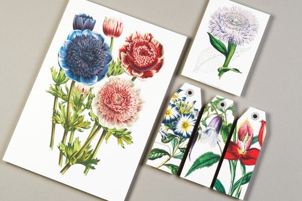 Paper Craft Book Flowers Art.-Nr. 4033
