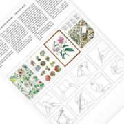 Paper Craft Book Flowers Art.-Nr. 4033