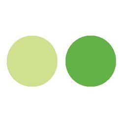 Almohadilla de tinta IZINK Touch – verde, verde Art.-Nr. 19581
