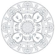 Cuaderno Mandala Graffy Pop Animales Art.-Nr. GY030O
