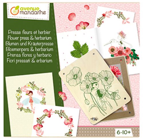 Prensa Flores y Herbario Art.-Nr. CO175C