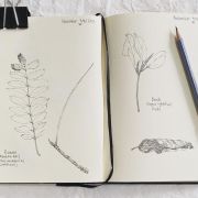 Lápiz Blackwing Ed. Ltda. Palomino Blue Art.-Nr. 105709