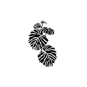 Plantilla 25 x 35 Vegetal BN151