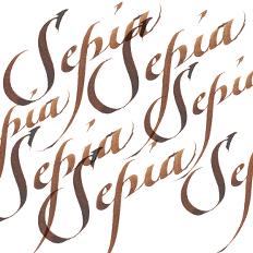 Tinta caligrafía 30 ml (10) Sepia