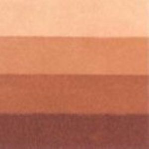 Tinta para Grabado Charbonnel (36) Tierra Siena Tostada 60 ml. Art.-Nr. 331896