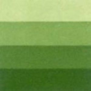 Tinta para Grabado Charbonnel (27) Verde Medio 60 ml. Art.-Nr. 331887