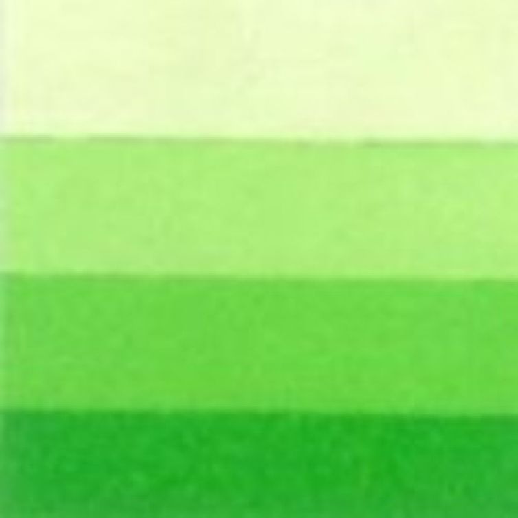 Tinta para Grabado Charbonnel (25) Verde Primavera 60 ml. Art.-Nr. 331885