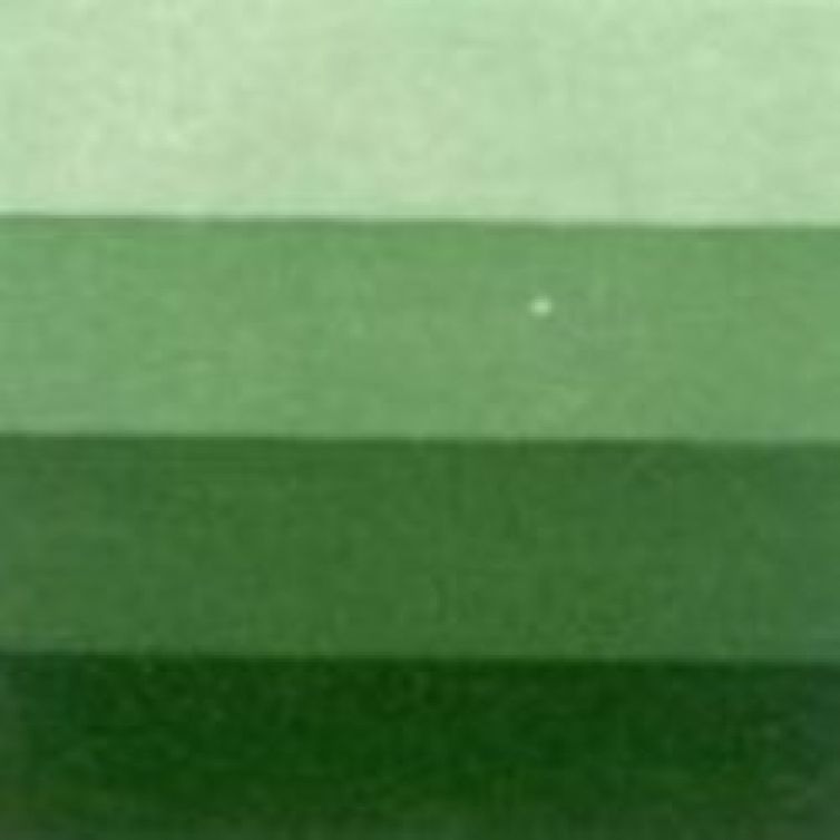 Tinta para Grabado Charbonnel (28) Verde Vejiga 60 ml. Art.-Nr. 331888