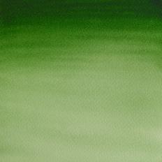 Acuarela Cotman 1/2 godet (25) Verde de Hooker Claro