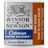 cotman-3558.jpg