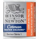 cotman-3563.jpg