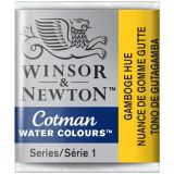 cotman-3571.jpg
