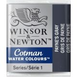 cotman-3583.jpg
