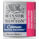 cotman-3584.jpg