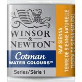 cotman-3587.jpg