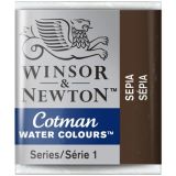 cotman-3591.jpg