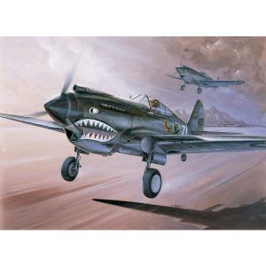 1:48 P-40C "Flying Tigers" Art.-Nr. 12280