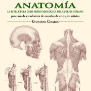 Láminas de anatomía Art.-Nr. 219055