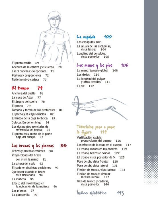 ¡Figúrate! Las proporciones del cuerpo humano Art.-Nr. 219082