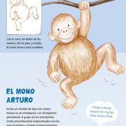 Aprende a dibujar Animales Art.-Nr. 282005